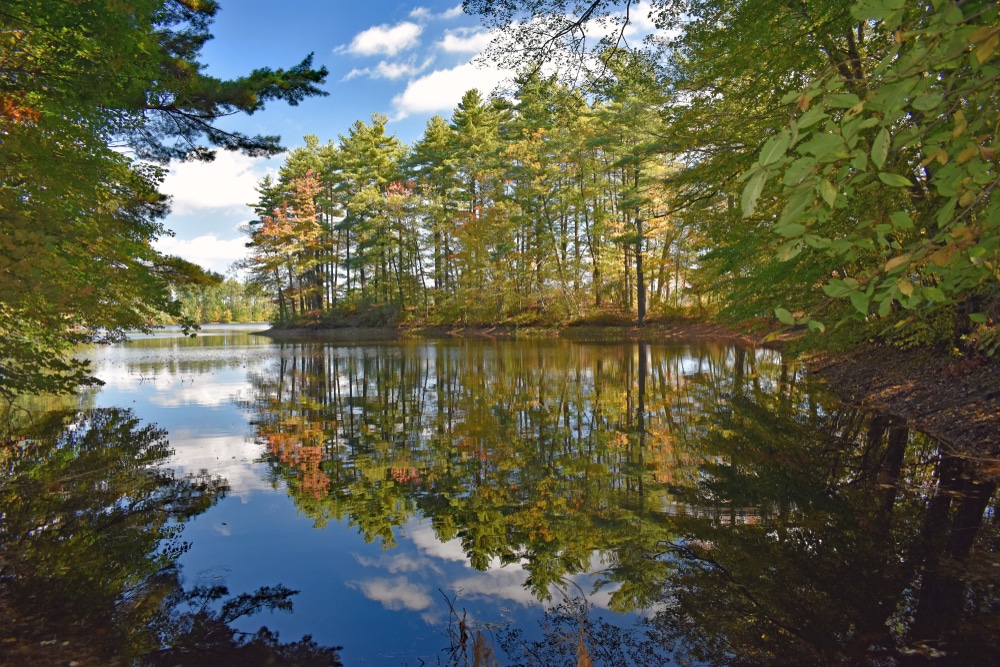 Sandra,Pond,In,Fall,Colors